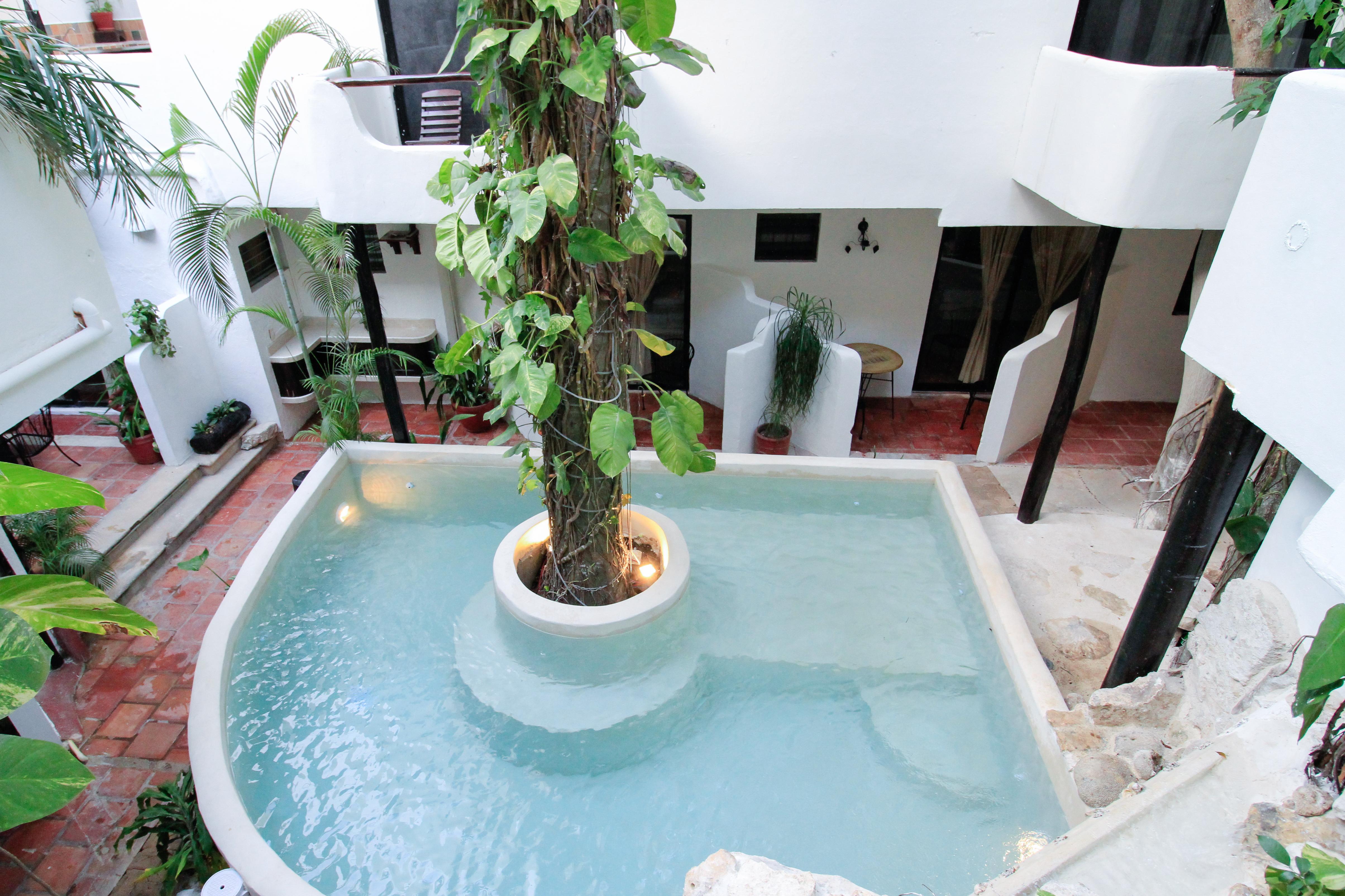 Moonshine Hotel Playa del Carmen Exterior photo